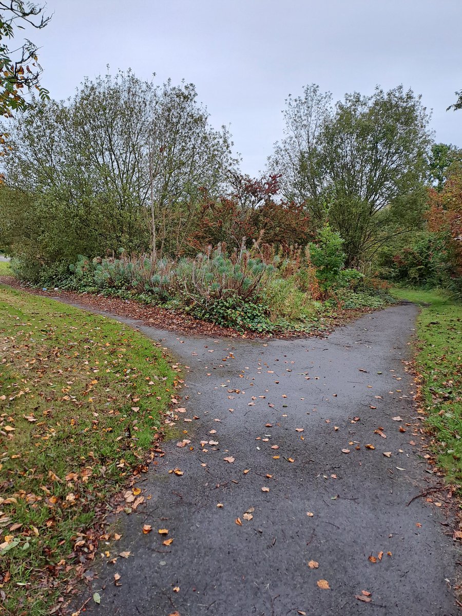 Dave Cromack ๐๐ (@cromack_dave) on Twitter photo Didn't get out yesterday due to going further on the bike than planned on Saturday. So out this evening instead <a href="/runningpunks/">Running Punks</a> lots of rest now & a few shorter runs before Yorkshire marathon a week on Sunday ๐ง Foxing - Dealer & Shit Present - What Still Gets Me Didn't get out yesterday due to going further on the bike than planned on Saturday. So out this evening instead <a href="/runningpunks/">Running Punks</a> lots of rest now & a few shorter runs before Yorkshire marathon a week on Sunday ๐ง Foxing - Dealer & Shit Present - What Still Gets Me