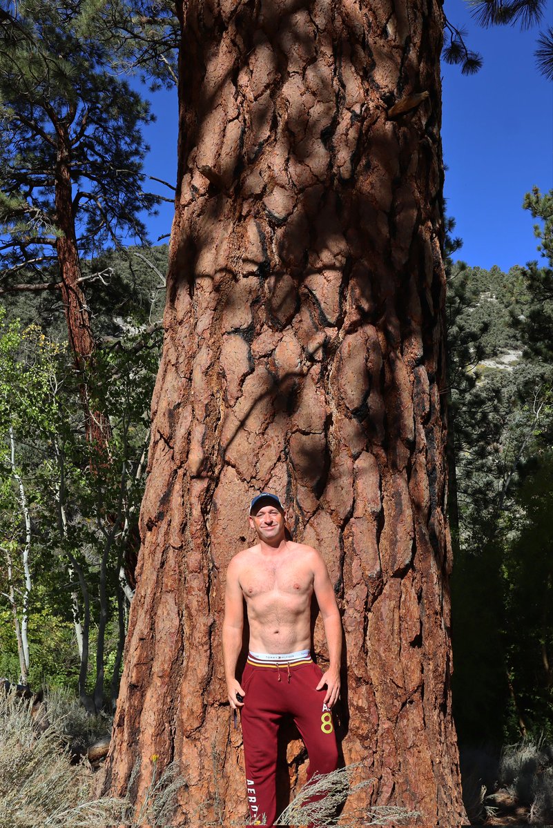 Hunter47539692's tweet photo. Forest guy #inyonationalforest #wilderness #sierranevada #usa #america #guy #forest #forestguy #hiker #Nomad #roadtrip #adventure #pinetrees #pinetrees https://t.co/A4LZLoiyQc