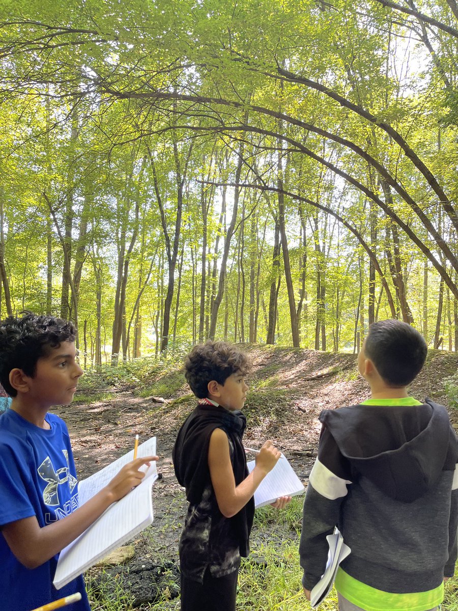 Mrs. Sonshine tweet media