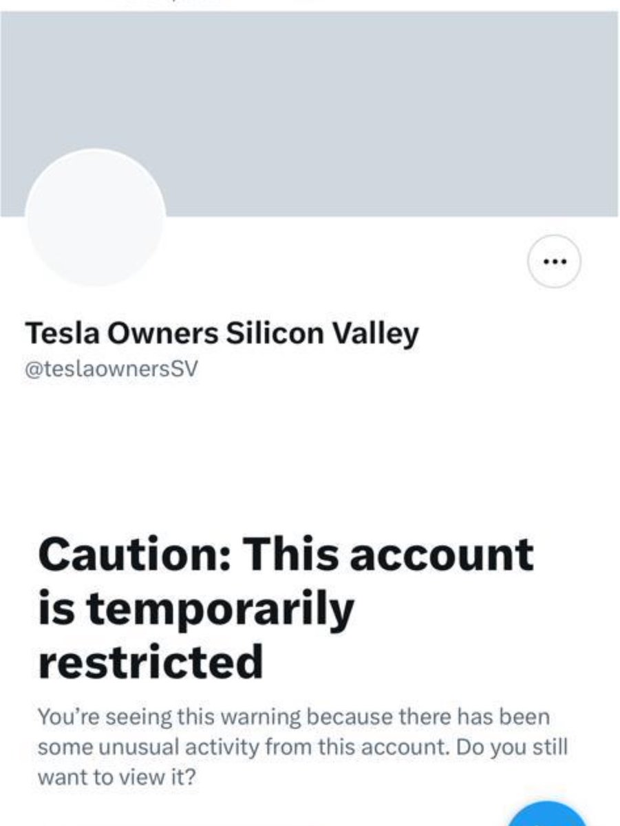 Tesla Owners Silicon Valley