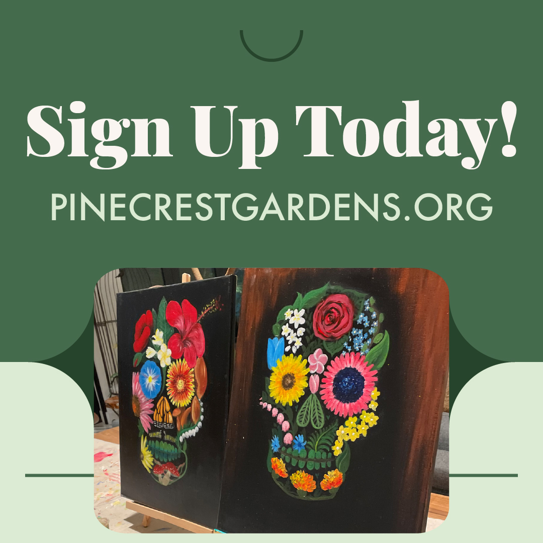 🎃 Halloween Painting at The Garden! 🎨 Sip, paint &amp; create a floral skull with Nathalie of Budding Artists Miami. 21+. 🎟️ tr.ee/BUB0MezRm7 

#pinecrestgardens #pinecrest #southfloridaevents 🍹🖌️