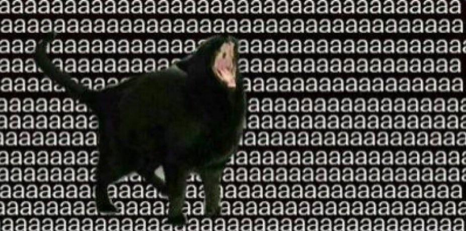 tekbog's tweet image. defining openapi spec for the business api
defining protobuf spec for the grpc

meanwhile the frontend dev just rawdogging javascript