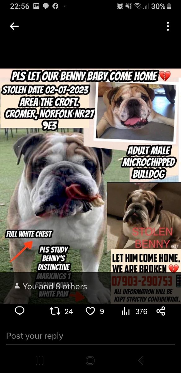 MissingPetsGB's tweet image. Paws up for #findbenny
Twitterstorm now on 8-9pm

BENNY WAS LAST SEEN 2/7/23 4-5pm in the MEADOW PARK, in #Cromer #norfolk
bring him home #NR27

facebook.com/groups/1382081…