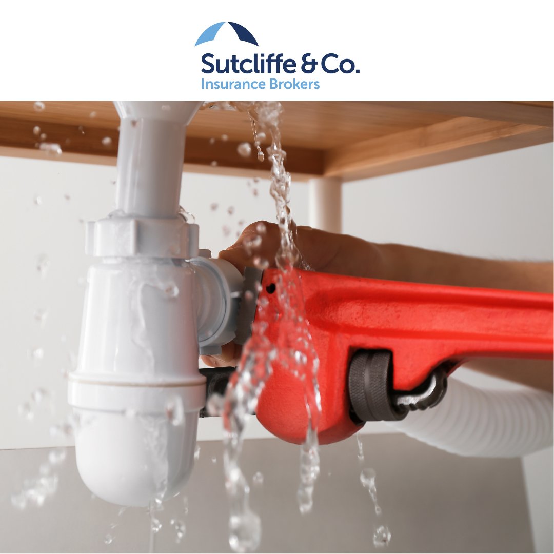 sutcliffeCo's tweet photo. What are the common causes of escape of water in property?

Visit our website to find out more> https://t.co/DUKk74IliC 

#escapewater #waterdamage #propertydamage #flooddamage #insuranceclaim #insurance #insurancebroker  #buildingsinsurance #worcestershirehour https://t.co/tUoiWZ74FX