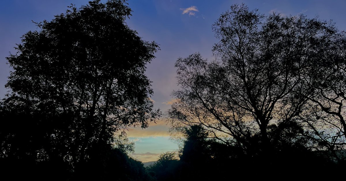 Brian Shannon tweet media