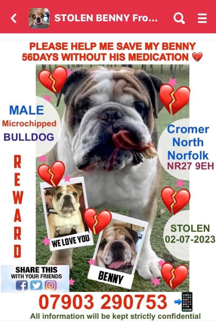 rosiedoc666's tweet photo. #findBenny TWITTERSTORM NOW ON 🐾🐾
STOLEN #Bulldog 2/7/23 
#Cromer NORTH NORFOLK 
#NR27 

https://t.co/vZfRaeJVSu

@Eloquencealways @beautys_legacy @thedogfinder @JacquiSaid @juliagarland73 @BitofDecorum @BDRCentral @DogDeskAction @AdoptionsUk @MsTKIndeed @TeaboyTeddy @MenaViana https://t.co/uEZboBpNj9