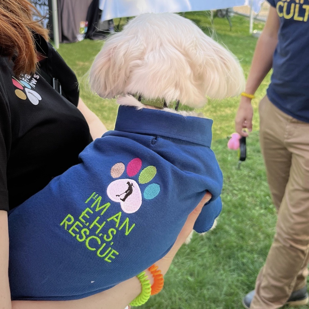 lloydsadd's tweet photo. On August 25th, Lloyd Sadd held the 4th Drive, Dine, and Dogs and raised $20,000 for the @EdmontonHumane
Thank you for supporting Puttin' Fore Paws. Let's keep making a positive difference for our furry friends in the community. #EdmontonHumaneSociety https://t.co/NSdXQdfWD0