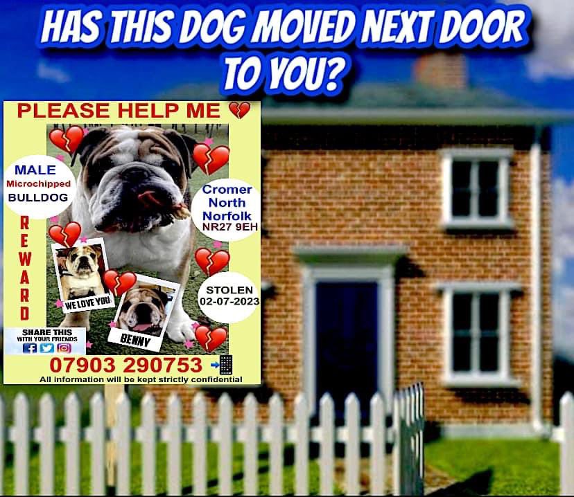 rosiedoc666's tweet photo. #findBenny 
HAS A #Bulldog THAT L 👀 KS LIKE BENNY MOVED IN NEXT TO YOU 🤔

#STOLEN 2/7/23 #Cromer area NORTH #Norfolk 
HE COULD BE ANYWHERE 🆘☎️

https://t.co/vZfRaeJVSu

@LisaHar95997355 @LisaLisaw1 @MissingPetsGB @missing_n_found @MissingPaw @Find_Roxy @linda_kinnon @bs2510 https://t.co/bGQj2fCNjH