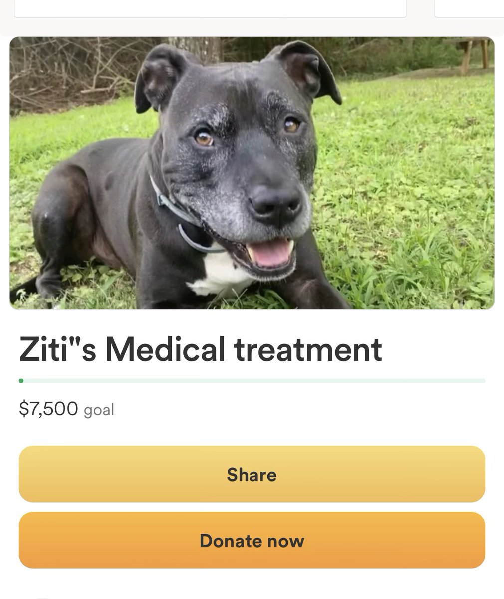 BrandonBrown__'s tweet photo. My brother and bandmate @Vinchezzno  has a lot of medical expenses for his dog Ziti. This dog deserves a long healthy life. Share and donate if you can.

https://t.co/PQGDGcdYiZ https://t.co/3Yyps9OPJQ