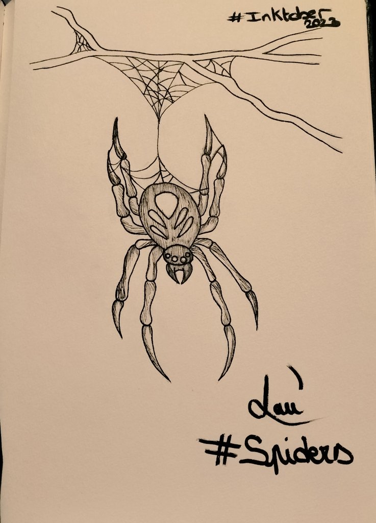 CLaurie62's tweet photo. Jour 2 : Araignée
Ma gentille araignée vous dit bonjour 👀
#inktober #inktober2023 #inktoberday2 #inktoberspiders #spiders #araignée #draw #drawork #drawofinstagram #art #artist #artwork #artdrawing #artoftheday #artofinstagram #fabercastell #blackandwhite #artropodes https://t.co/JzxyyYFcqa