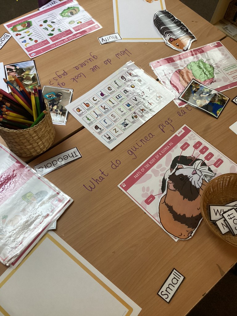 CaterpillarsHan's tweet photo. We can’t wait to see the children caring for the babies, comparing the size of their hands, feet and height, drawing the beloved Guinea pigs and cooking in the play dough area. Plus everything else their wonderful imaginations and ideas lead them too!

#EYFS #Nurserybanbury https://t.co/M1z4KyUzPV