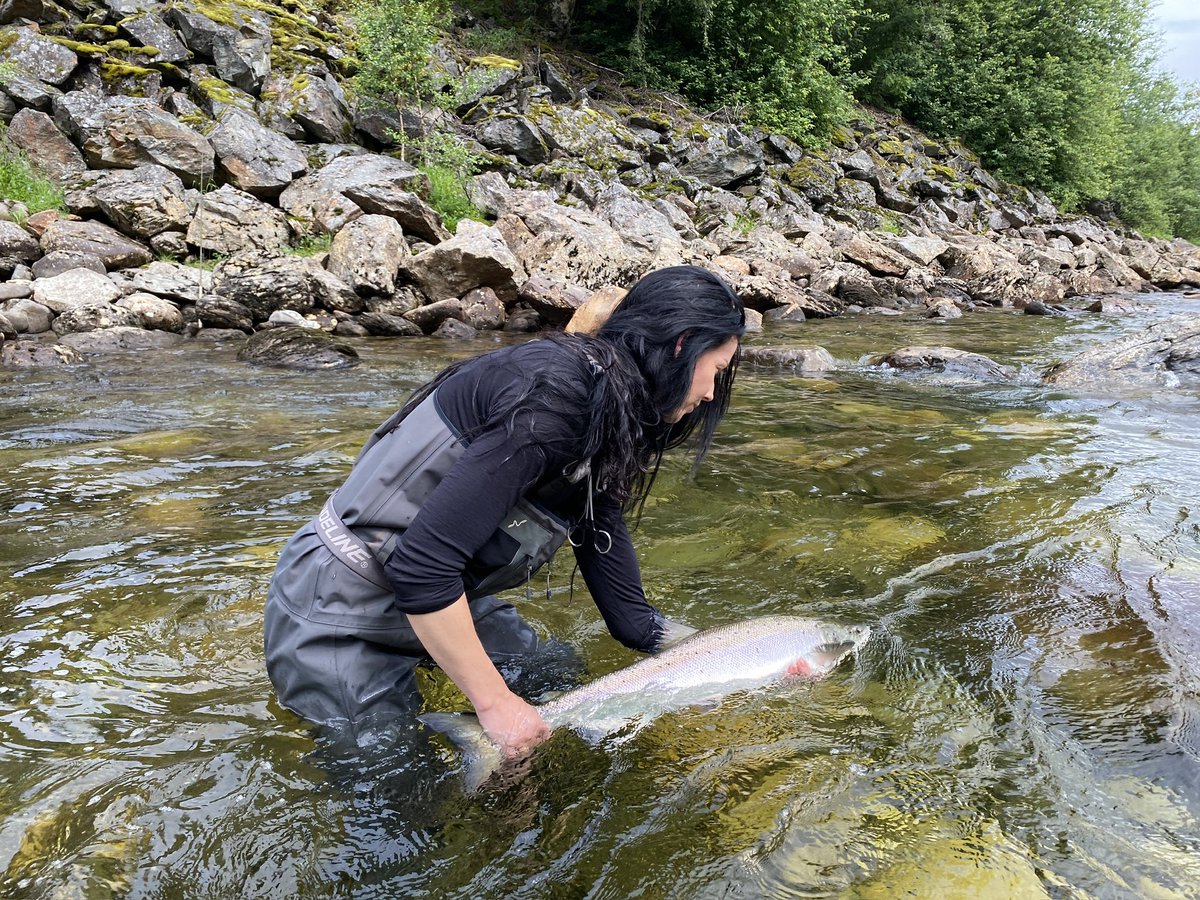 Matt Hayes tweet media