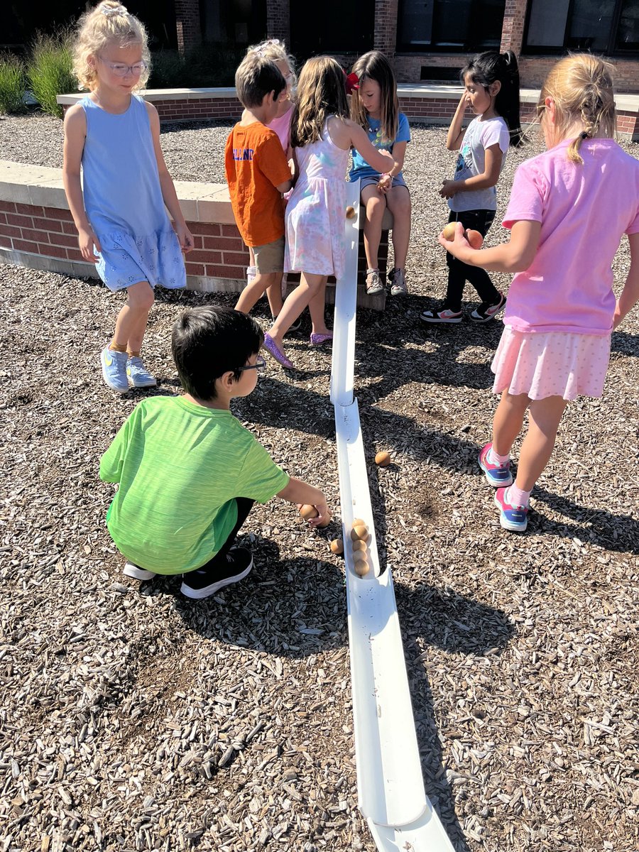 Stefanie Shefler tweet media