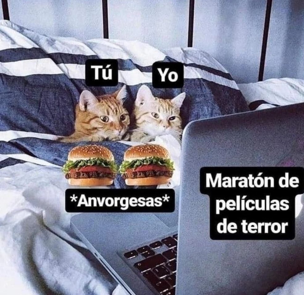piña sin pizza (@skereunpesado) on Twitter photo 