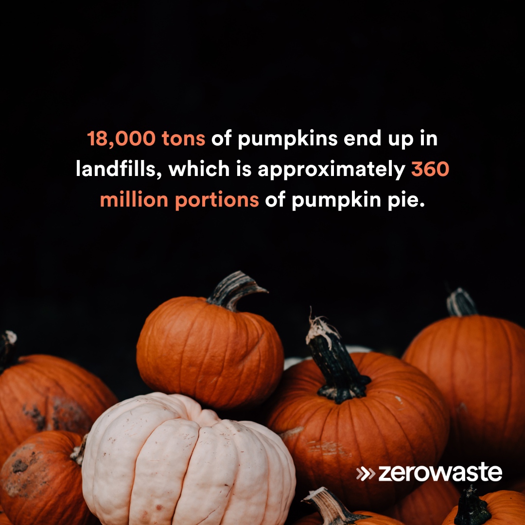 zerowaste_com's tweet photo. Don't let your pumpkins turn into waste ghouls! 🎃 Every year, 18,000 tons of #pumpkins rot in #landfills

When you're done carving and celebrating, gift them to the wildlife or #compost them 🍂

https://t.co/6Zvm1KOvFZ

#halloween #fall #waste https://t.co/X9bJSzfVLF