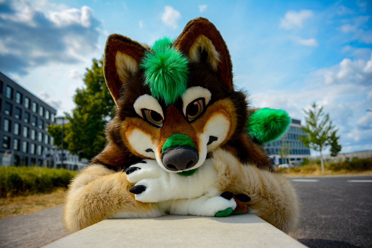 Hey fursuit lovers !
You now have the best opportunity to have such a dreamlike suit made.
So do not hesitate and order one.
I wish to welcome you soon in the family too 😀