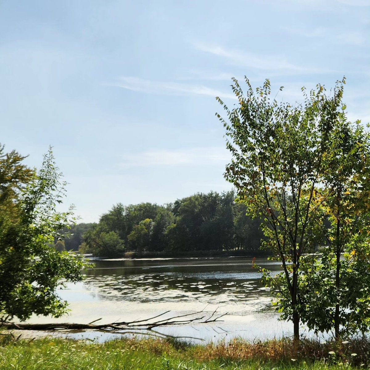 TrickstersFolly's tweet image. Skokie Lagoons. The north of Chicago is so pretty. So green and woodsy. #northchicago #Chicago #skokie #skokielagoons