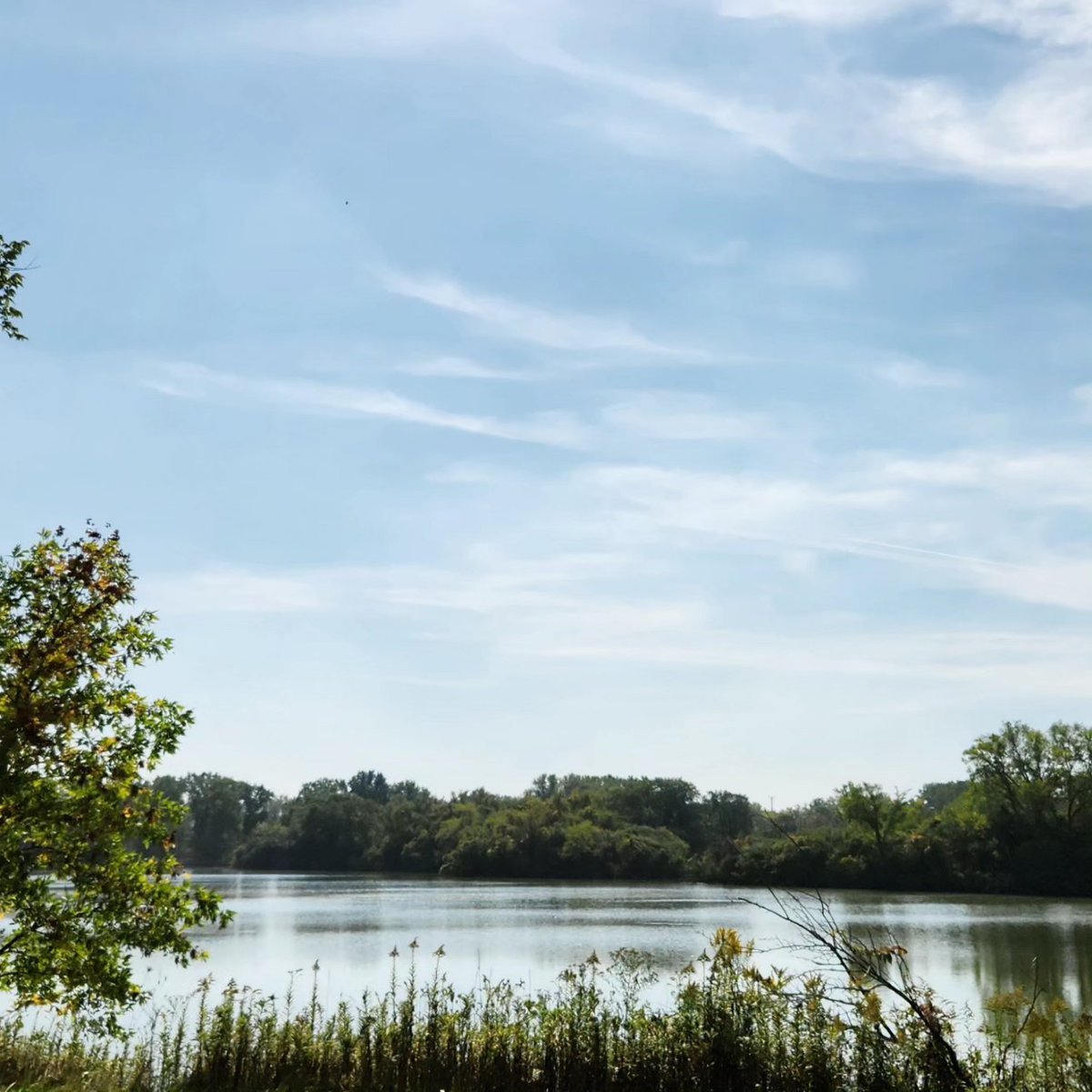 TrickstersFolly's tweet image. Skokie Lagoons. The north of Chicago is so pretty. So green and woodsy. #northchicago #Chicago #skokie #skokielagoons