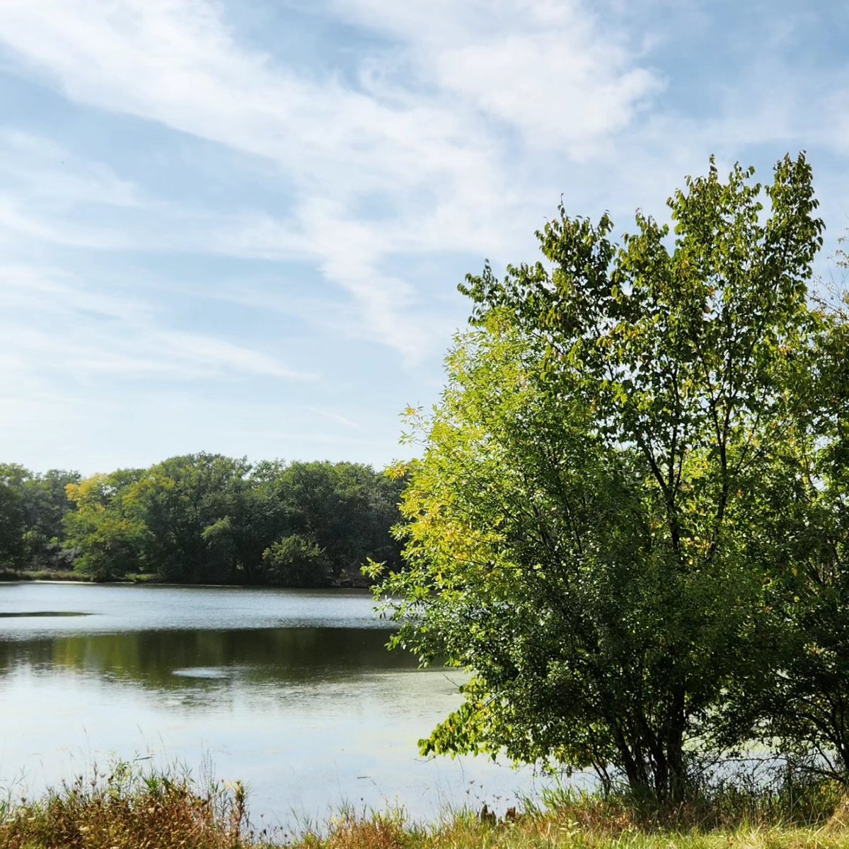 TrickstersFolly's tweet image. Skokie Lagoons. The north of Chicago is so pretty. So green and woodsy. #northchicago #Chicago #skokie #skokielagoons