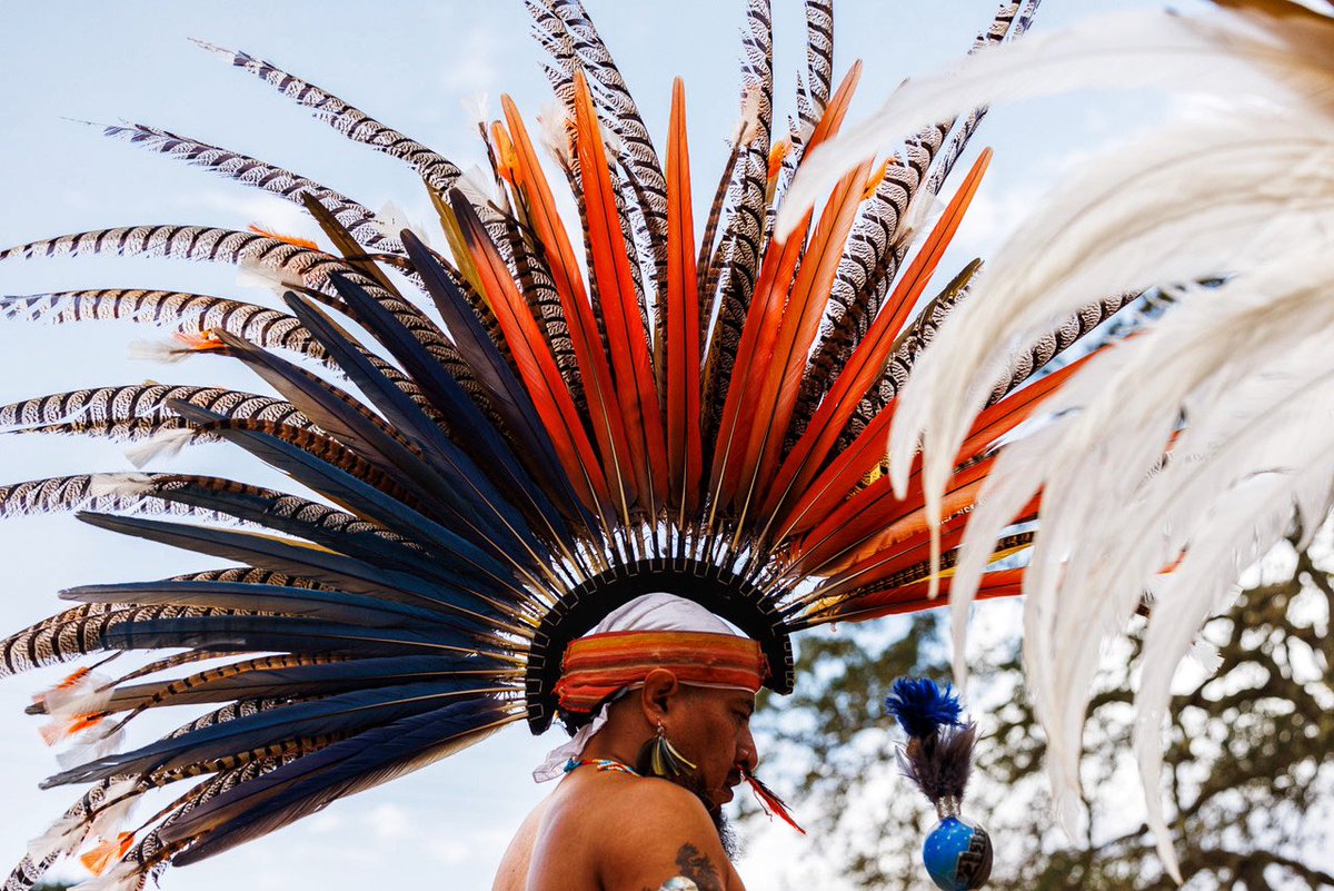 nick otto tweet media