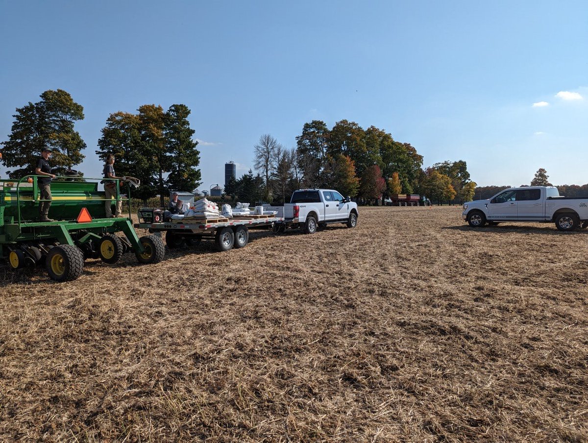 The Wheat Team tweet media