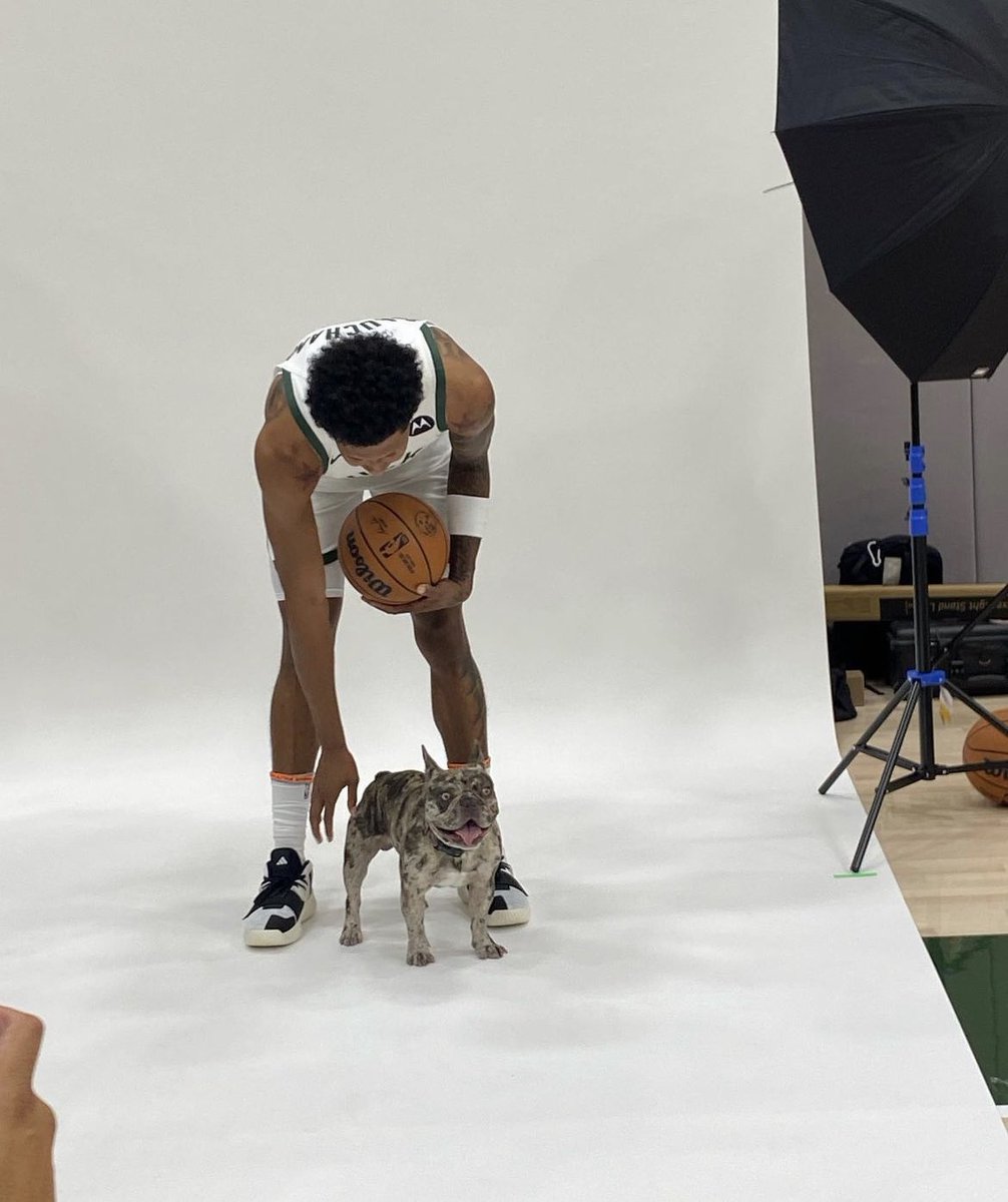 Bucks_Romania's tweet photo. @Marjon32 Plutoooo 💚🐶 https://t.co/7DO8XHEp0t