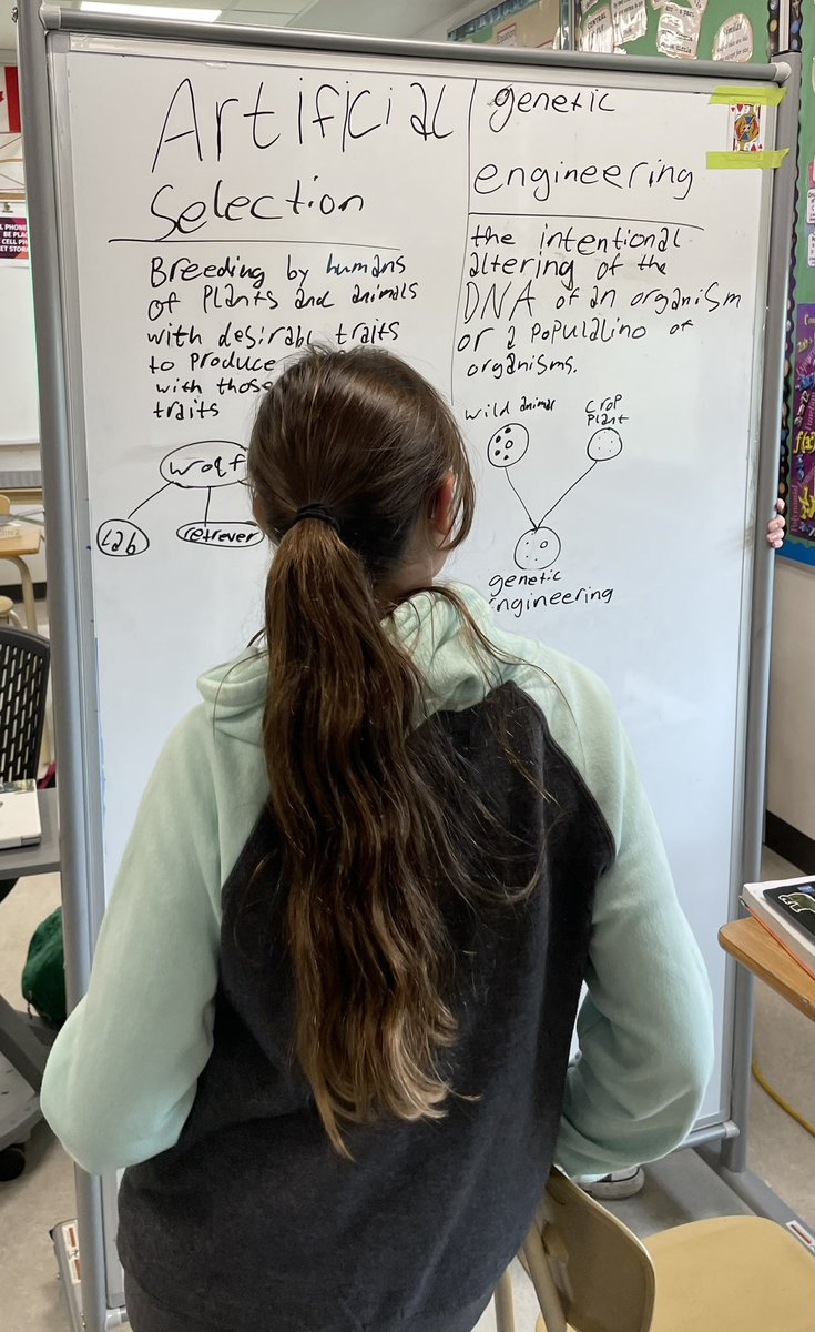 Mr.Green_PWE tweet media