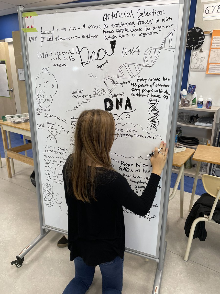 Mr.Green_PWE tweet media