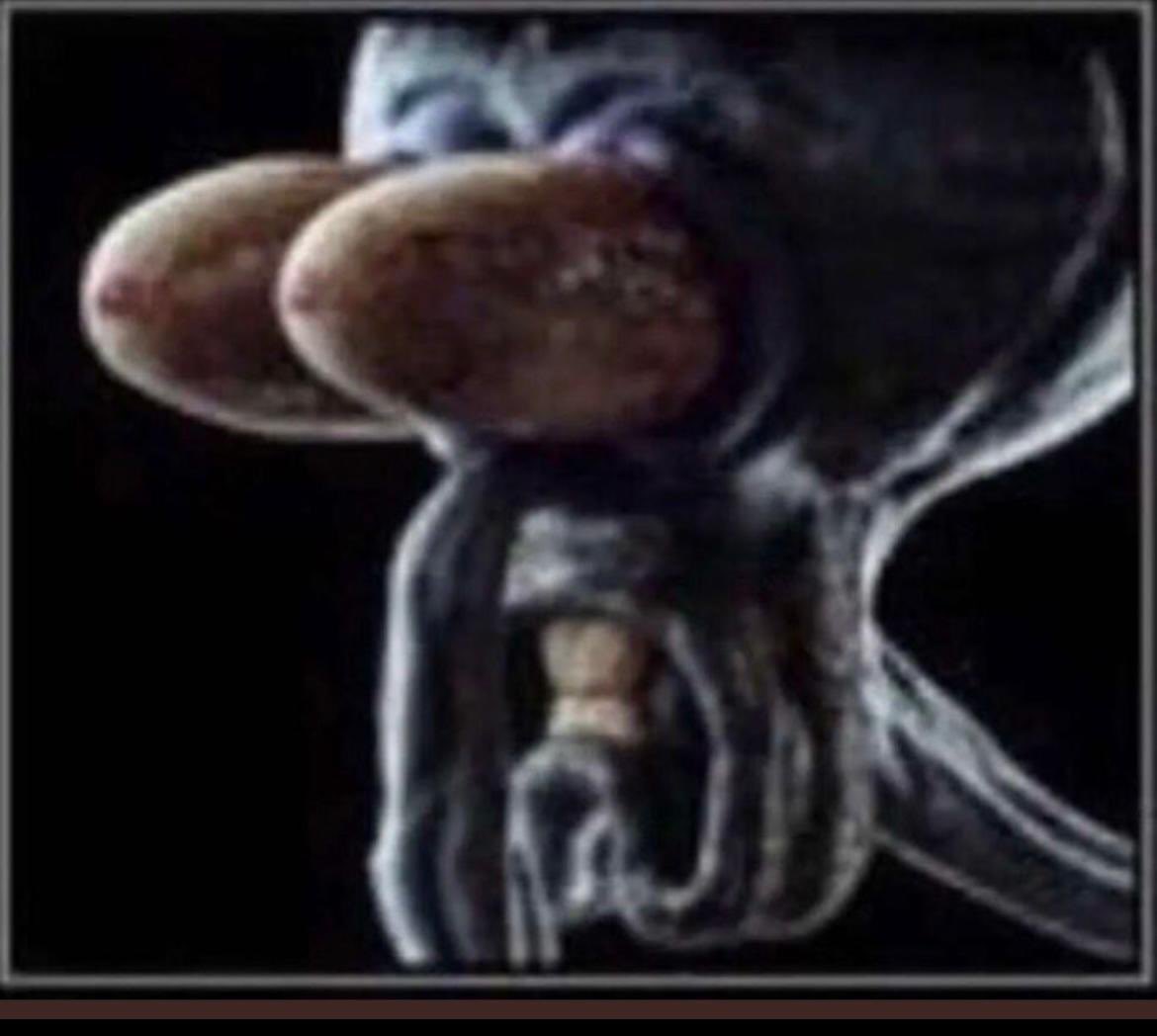 Disturbed tweet media