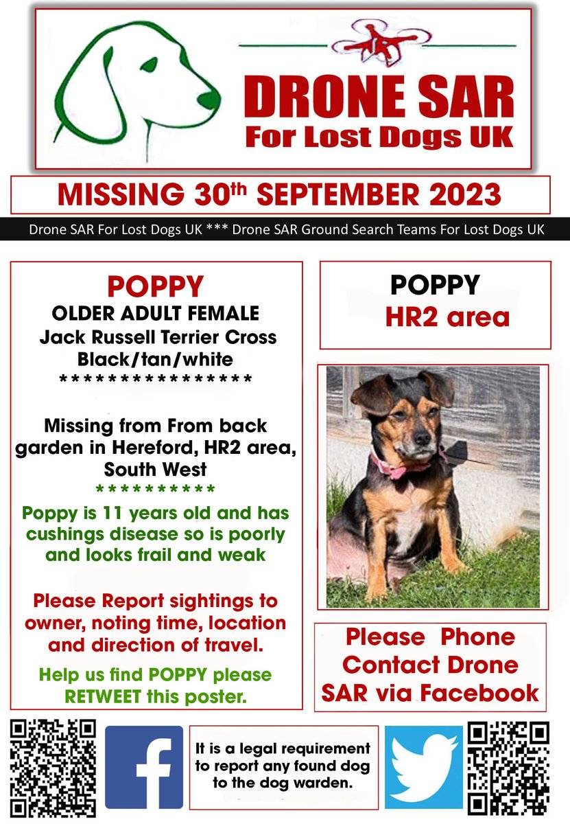 sar_dogs's tweet photo. #LostDog #Alert POPPY
Female Jack Russell Terrier Cross Black/tan/white (Age: Older Adult)
Missing from From back garden in Hereford, HR2 area, South West on Saturday, 30th September 2023 #DroneSAR #MissingDog https://t.co/9EQLfqrSUi