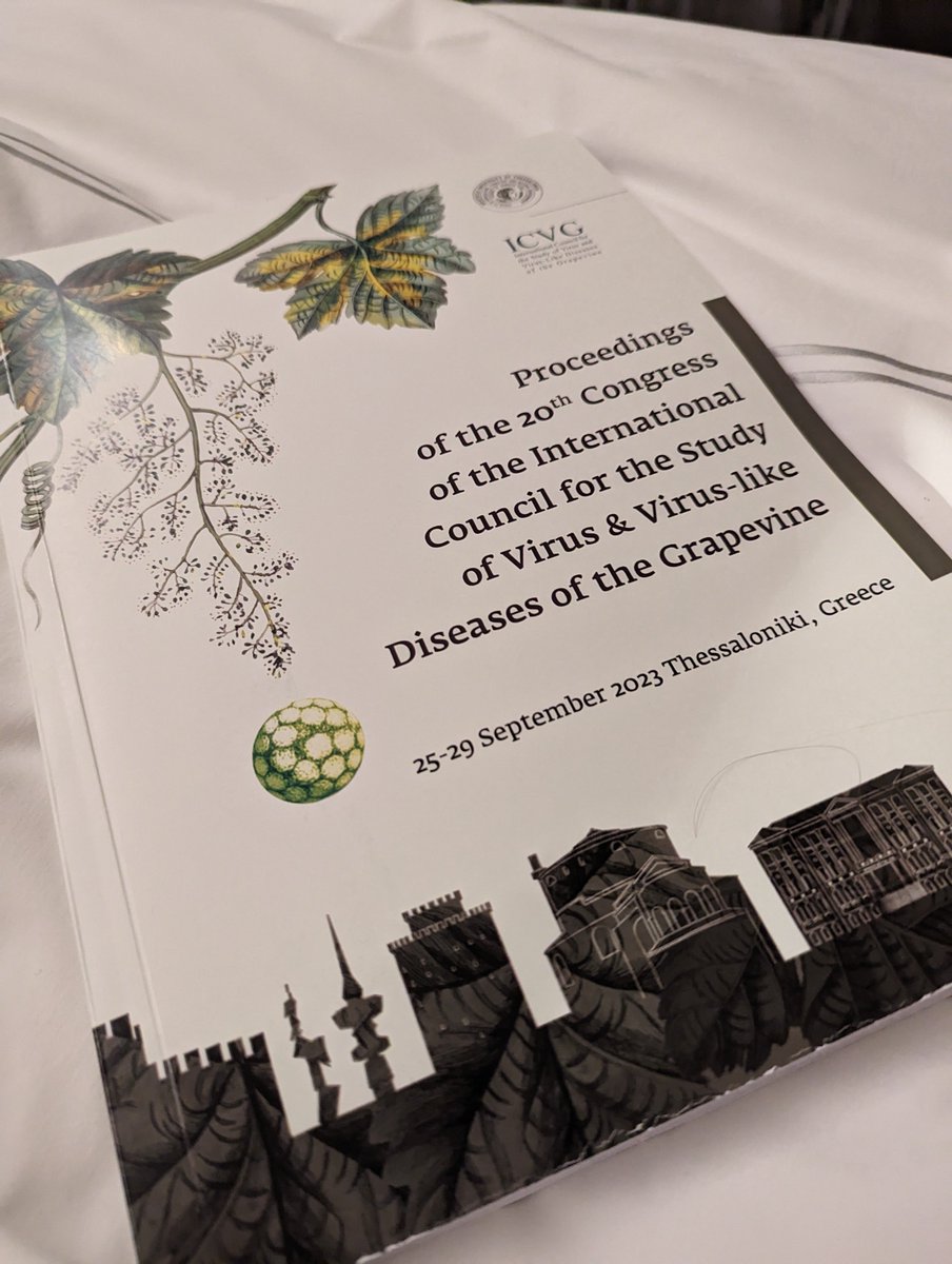 Maddie_flasco's tweet photo. I'm so beyond lucky that I was able to share my graduate research across the world in Greece where I had the chance to meet the individuals whose work I have read about for years. Next stop, my PhD defense! #ICVG 🍇🍷🍇 https://t.co/PI4rXq0dxm