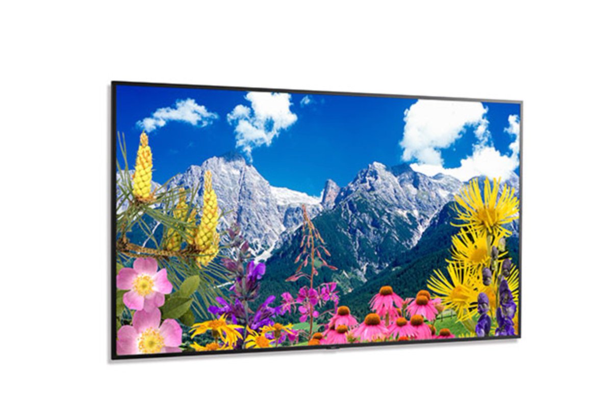 SharpBusinessUS's tweet image. NEC’s MultiSync M861 features the quality and longevity that our premium-grade products are known for. 

Want to learn more about why this product could be right for you? Click here: bit.ly/3PDeiFF #ProAV #LargeFormatDisplay