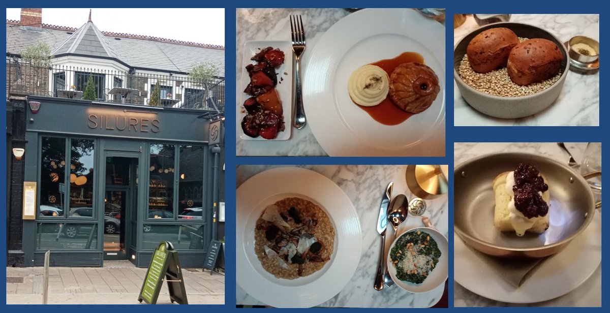 tedrichardsCYM's tweet photo. The fine dining experience arrived in #WellfieldRoad this year in the shape of #Silures, named after a powerful warlike iron-age tribe that occupied SE Wales. We had hot onion seed bread, Game pie, Wild Mushroom Risotto & a rum baba. Very good and the service was excellent. https://t.co/UZ21F0Hxnm