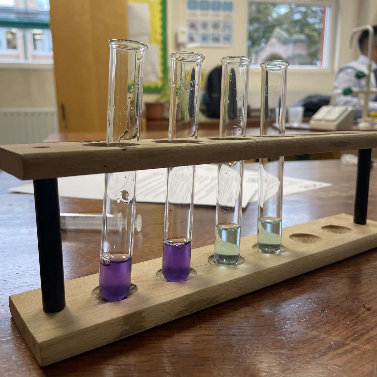 DerbyScientists's tweet photo. Some beautiful Biuret test exemplars produced by #DerbyYear12 today. Look at that lilac! #DerbyBiology #DerbyLearning #WhereYouBelong https://t.co/nhMuiiKOTx