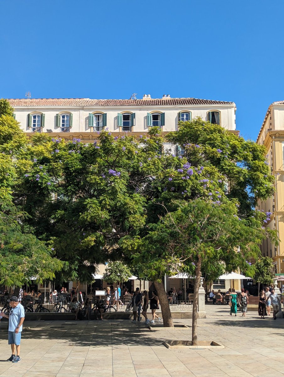 Long weekend in Malaga is the one 👌🧘