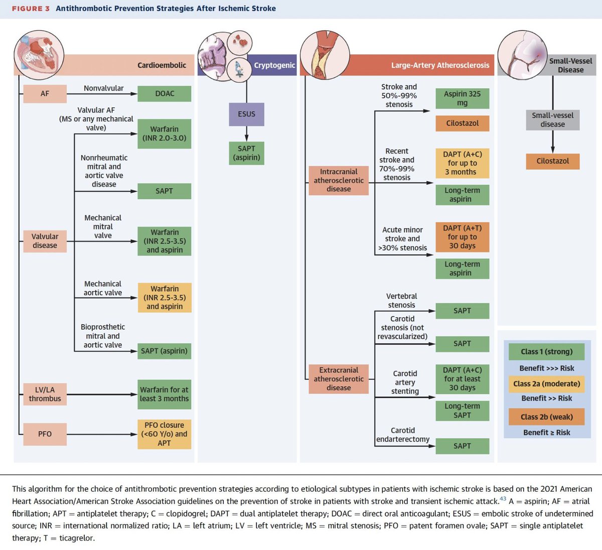 drgocchipinti's tweet photo. Dealing with #antithrombotics in #stroke prevention.
Here an algorithm to tailor treatment according to #stroke etiology. More research is needed to define the optimum for patients with #ESUS, and specific forms of non-atherosclerotic vascular disease. https://t.co/77KF7Y3ZtL https://t.co/sEzua5wpdc