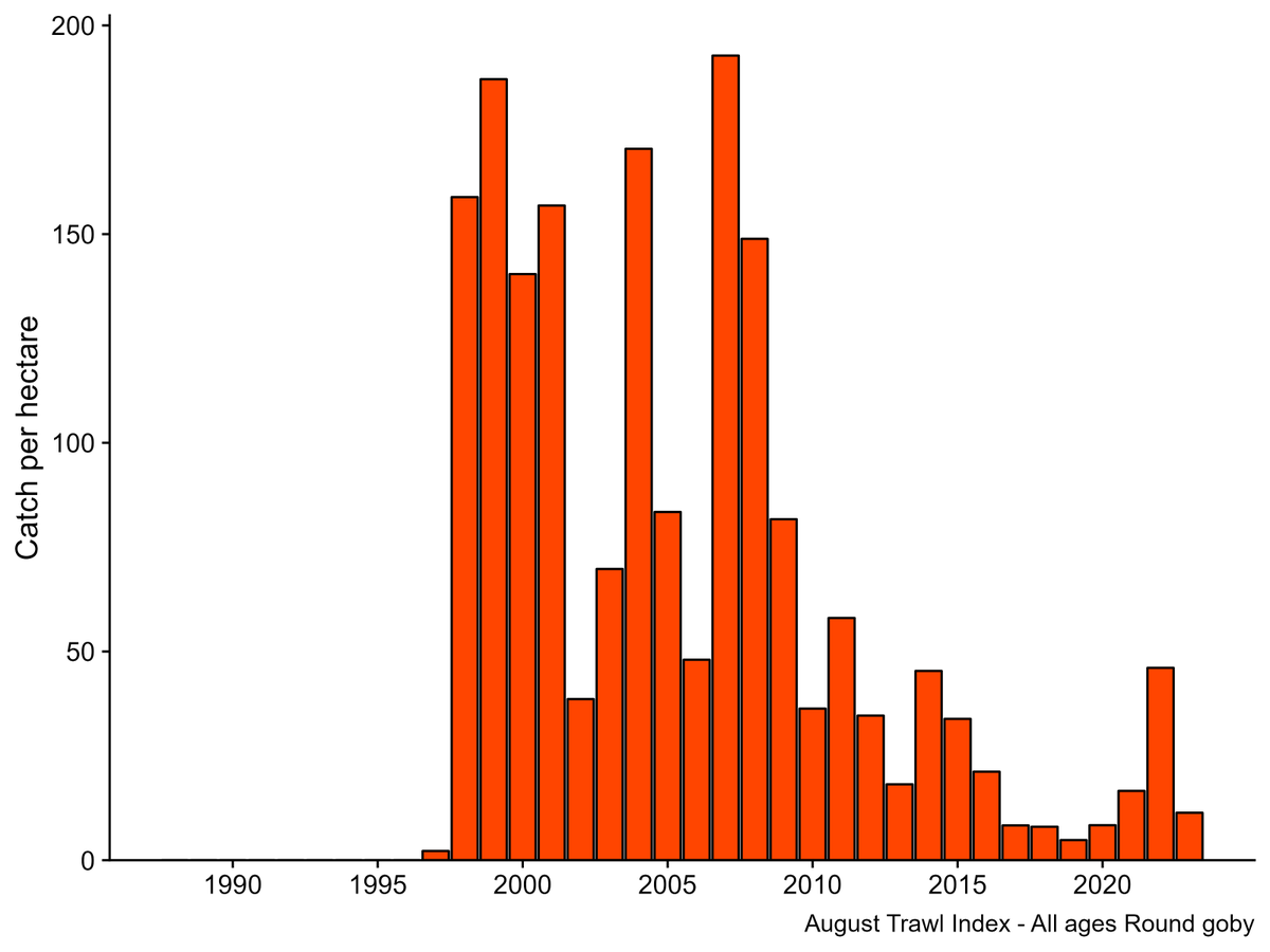 zakjslagle's tweet photo. @graham_raby That sucks! It'll be sad but interesting to hear what other abundance changes you might observe. For reference, here's their abundance in western Lake Erie (where numbers have stabilized): https://t.co/lT3qeV1Pgf