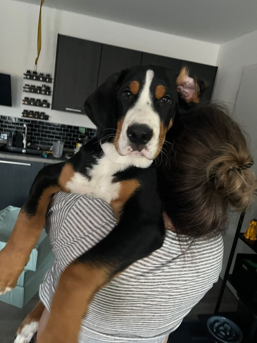 Schon wieder 2kg in 2 Wochen gemacht.