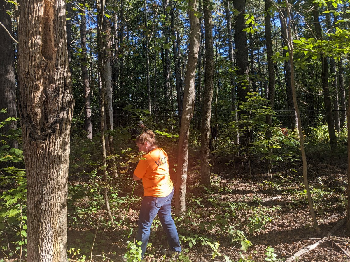 RN: Searchers on the ground at Moreau Lake State Park, hunting for clues in disappearance of 9 year old Charlotte Sena, missing since Saturday night, believed to have been abducted.