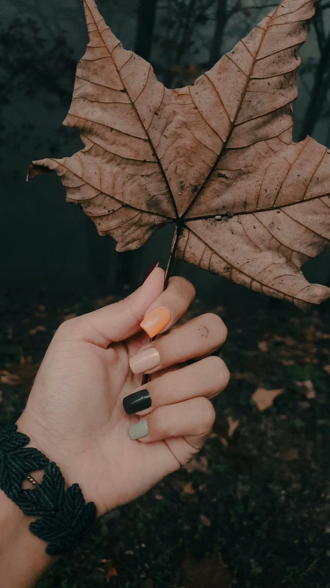 Mohak_nt's tweet photo. مهر🍂🧘🏽‍♀️ https://t.co/qdTSUmS0C6
