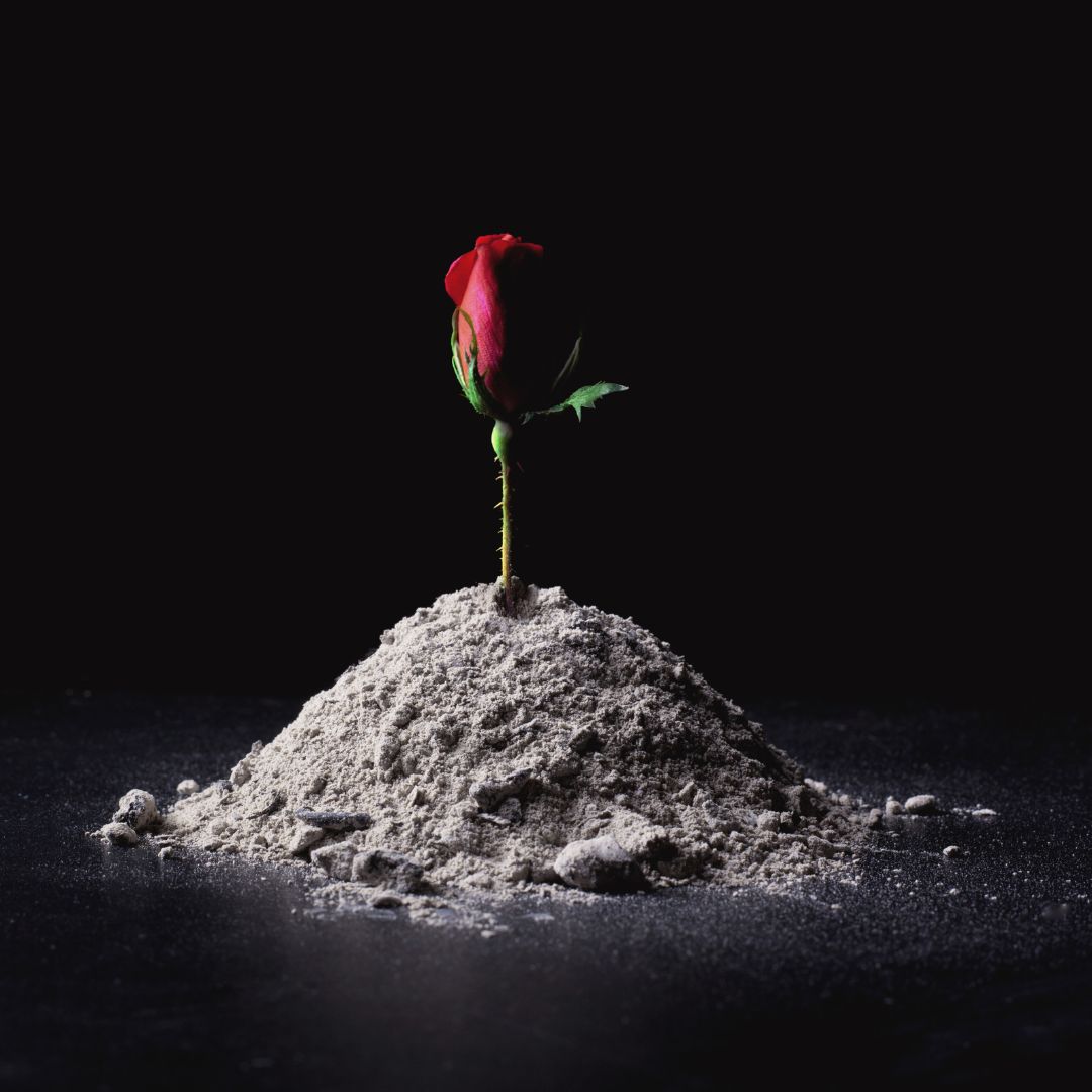 BrandyITimmons's tweet image. She wept. 
He disintegrated. 
Her #onerous task complete.
 
#vss365 #vsshorror #horrorprompt #disintegrate #vampires
