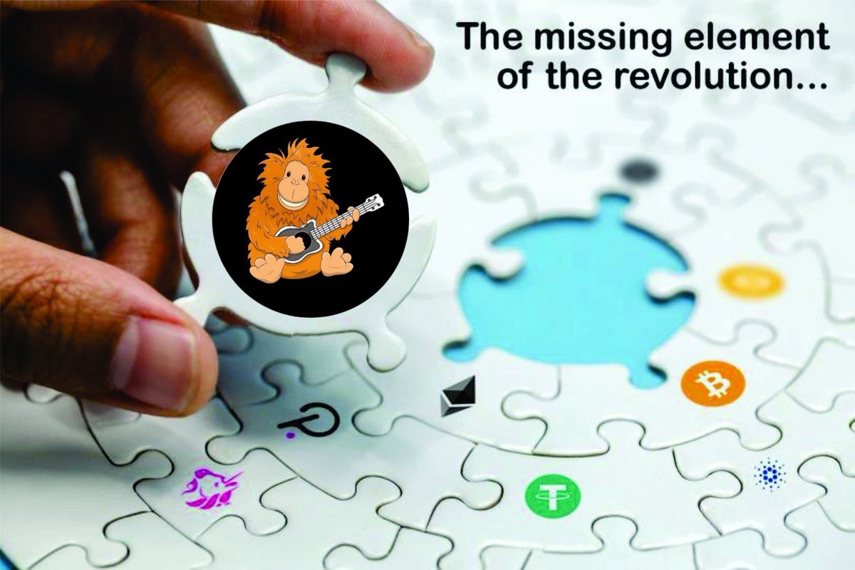 jimmy080401's tweet photo. @NityInf3 My meme entry
@NityInf3
#BEMOREBARRY #Barrytheorangutan
#BuyBarry
#Barrytoken https://t.co/woXEdoEtYx
