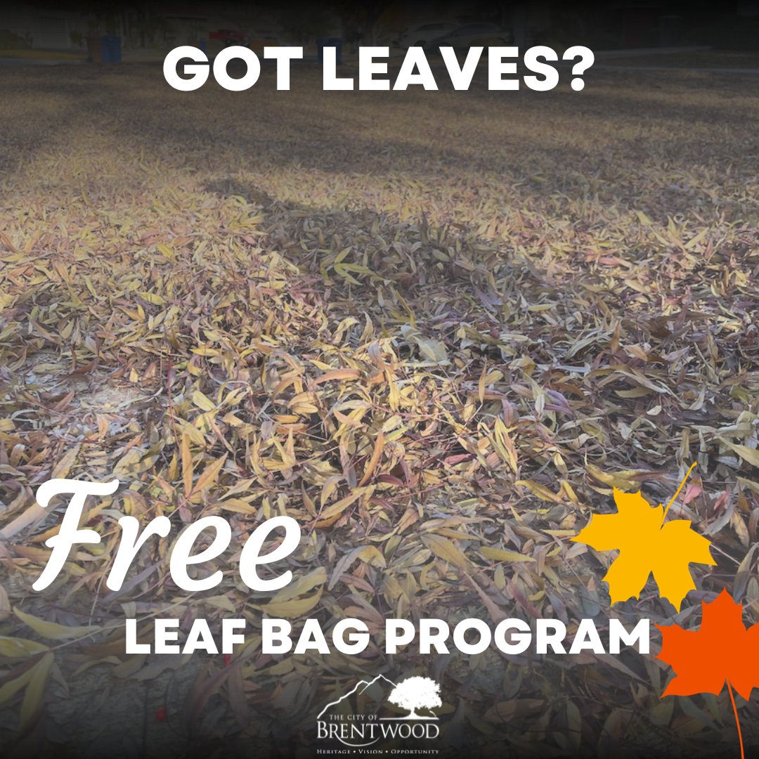 Discover 136+ free leaf bags kidsdream.edu.vn