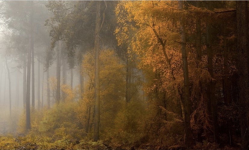 𓍊˖ ࣪⊹ (@goblinc0re) on Twitter photo 