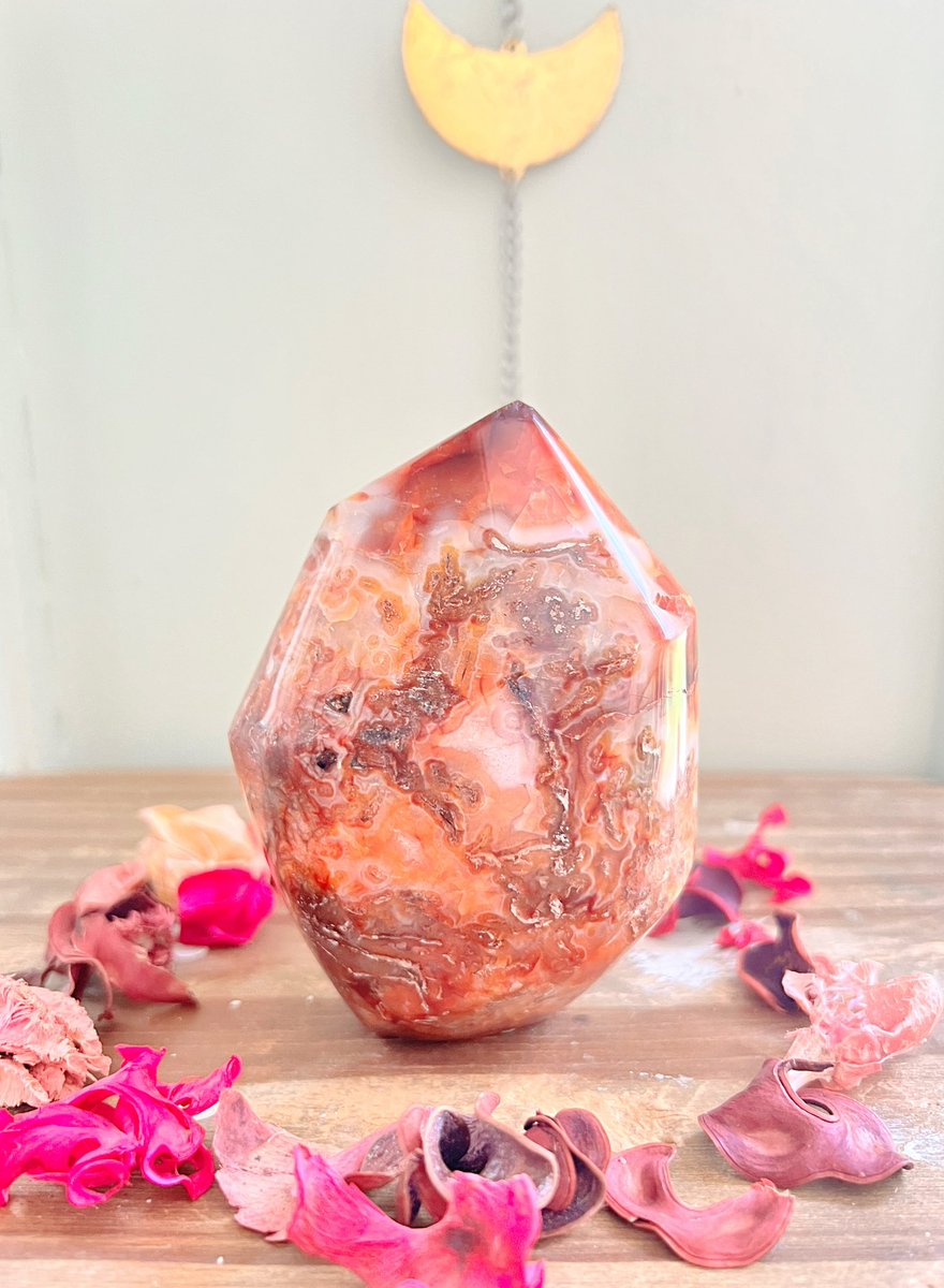 Annabtlouise's tweet photo. Hi friends! I’m Anna the owner of Rose and Quartz, AKA my pride and joy🙈🥹🥹 I’d love for you to take a chance on my shop!

We have so many affordable, high-quality crystals to choose from + specially curated mystery boxes!

VIDEOS🧵⬇️ https://t.co/buKUpcpL6P

Every purchase comes with a gift & same/next day ship! SKULLS ARE 31% OFF NO CODE NEEDED!

📸: Fire Quartz, Mookaite, Druzy Quartz, Carnelian
