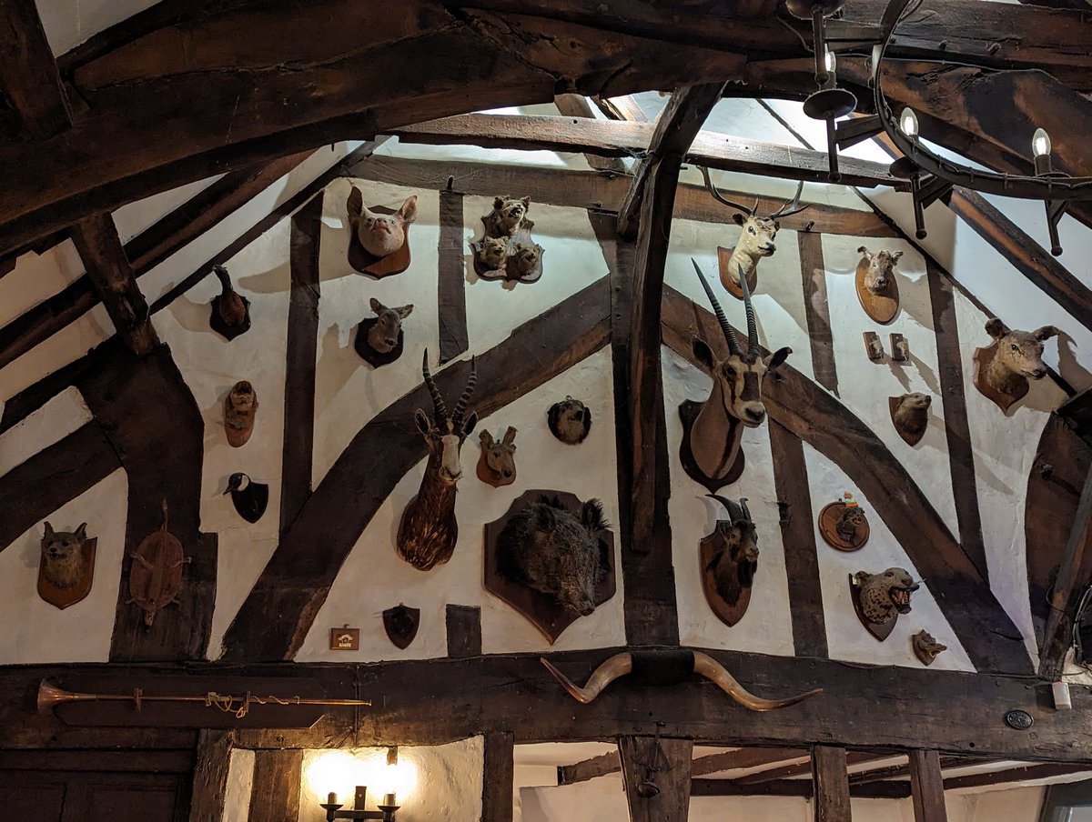 geogologue's tweet image. The #TeachWithGIS tour continues tomorrow! Introduced to a most mysterious and terrible drinking establishment this e&apos;en... perfect for 🎃🍂🍃🧙