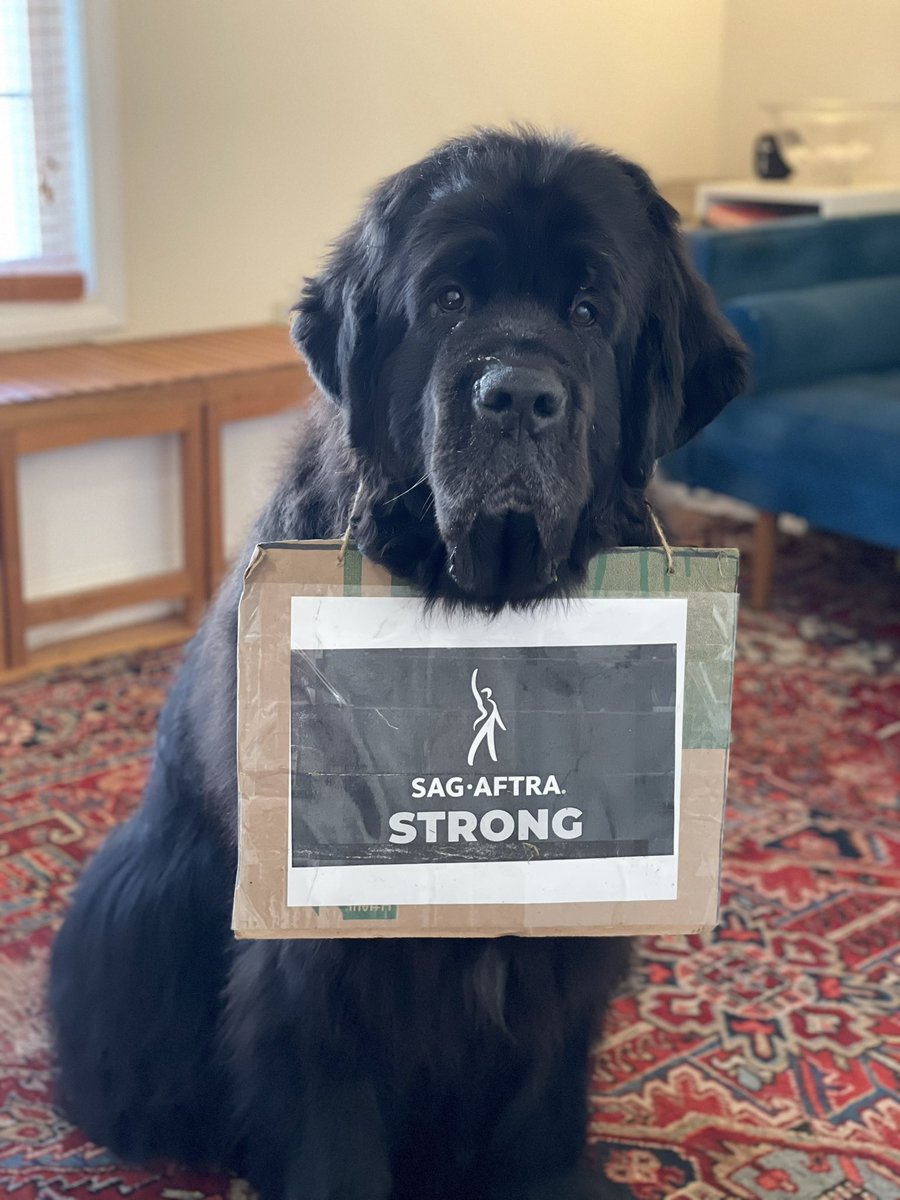 wendy button☮️ tweet media