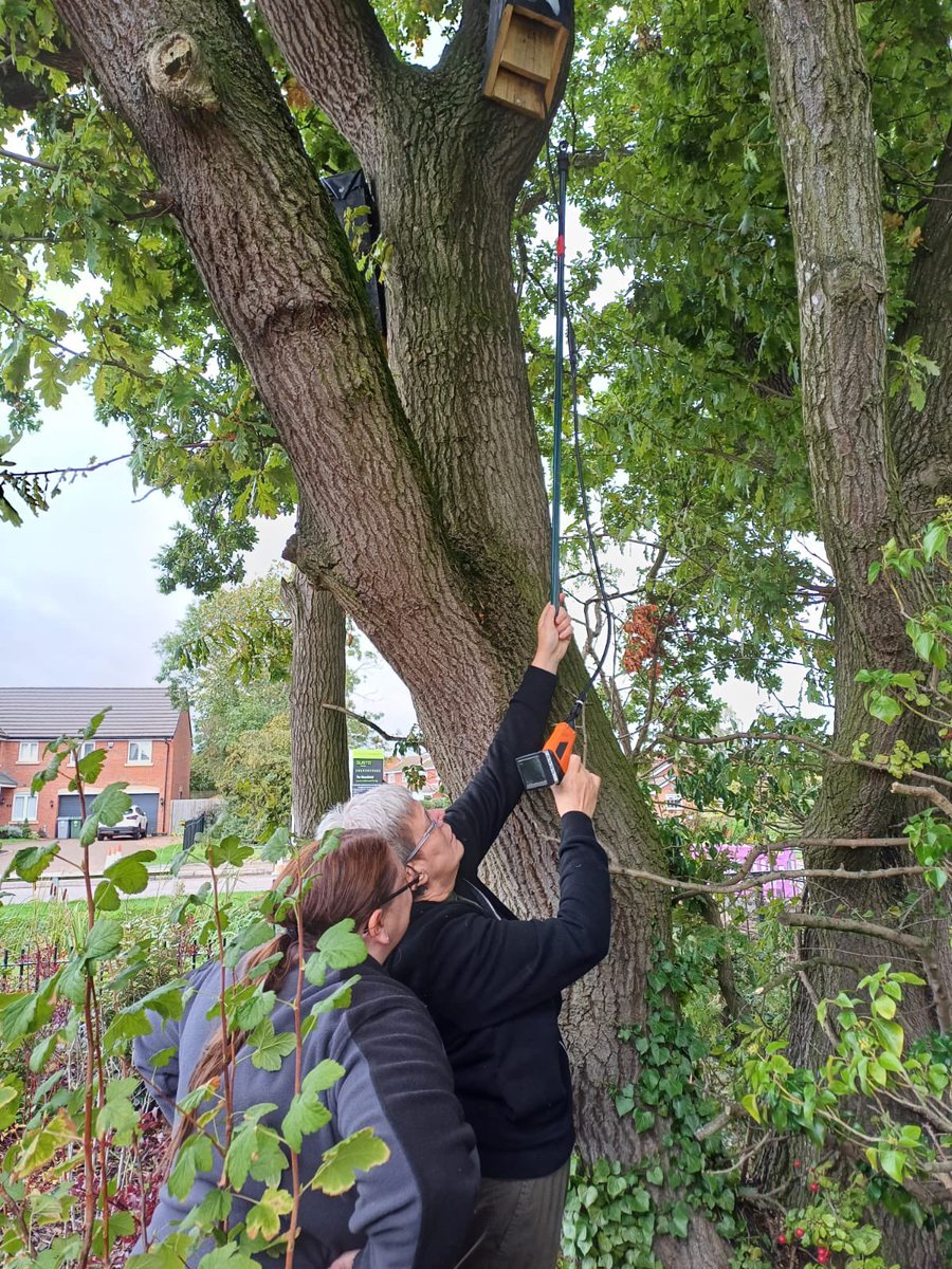 Bat box check at Collingham and Besthorpe Nature Reserve yesterday.