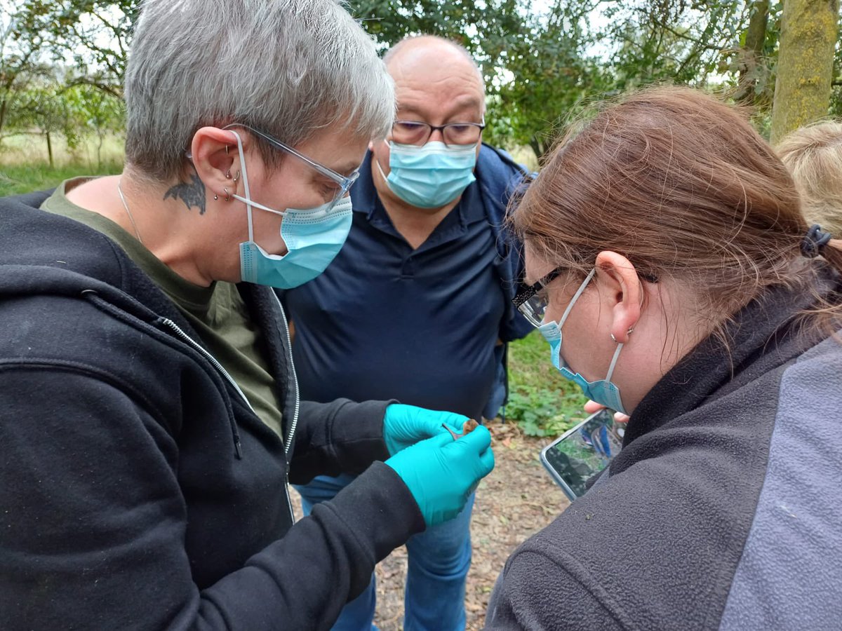 Notts Bat Group tweet media