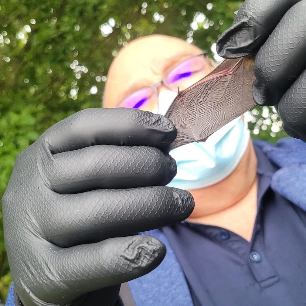 Notts Bat Group tweet media